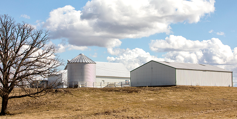 ISPFMRA: Farmland values, cash rental rates hold steady